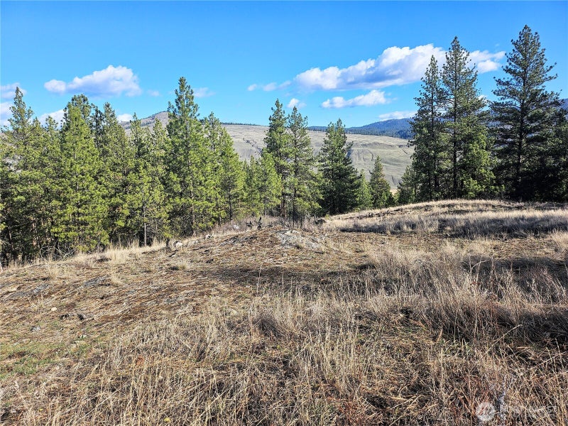 380 Lot Chopaka TBD Road