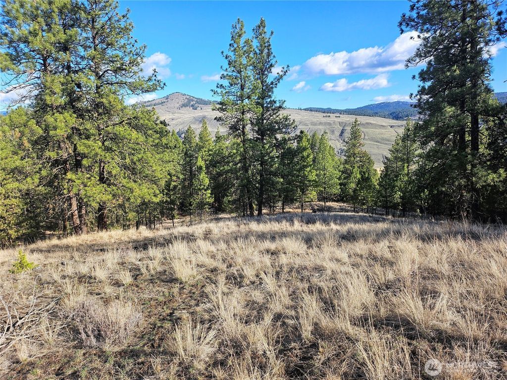 Photo of 380 Lot Chopaka TBD Road, Tonasket, WA 98855 (MLS # 2495884)