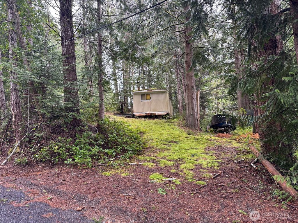 Photo of 11 Bayview Court, Brinnon, WA 98320 (MLS # 2495764)