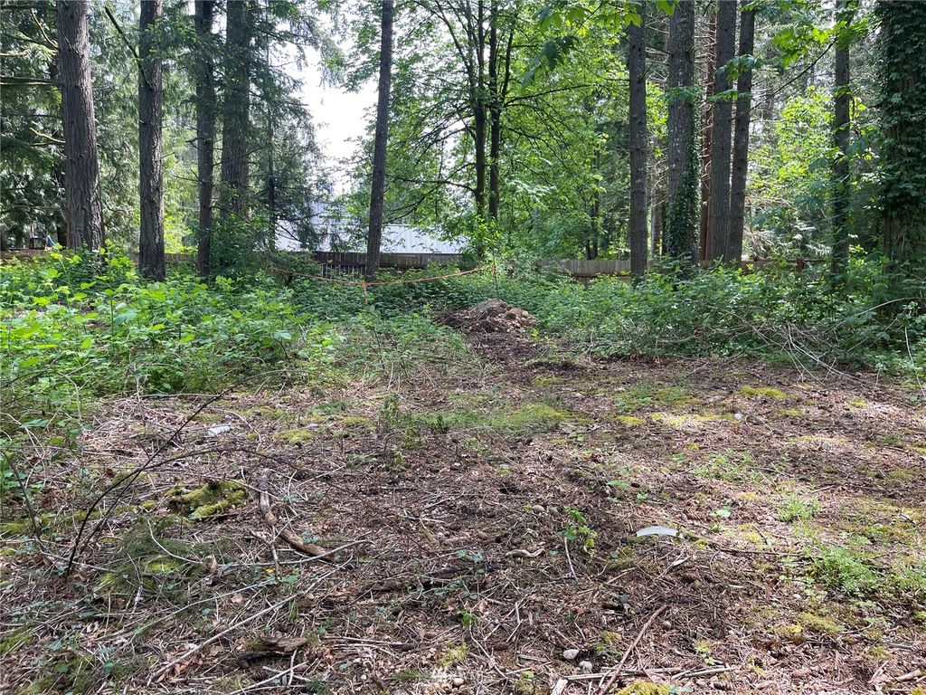 Photo of 229 XX SE 312th Street, Black Diamond, WA 98010 (MLS # 1944712)