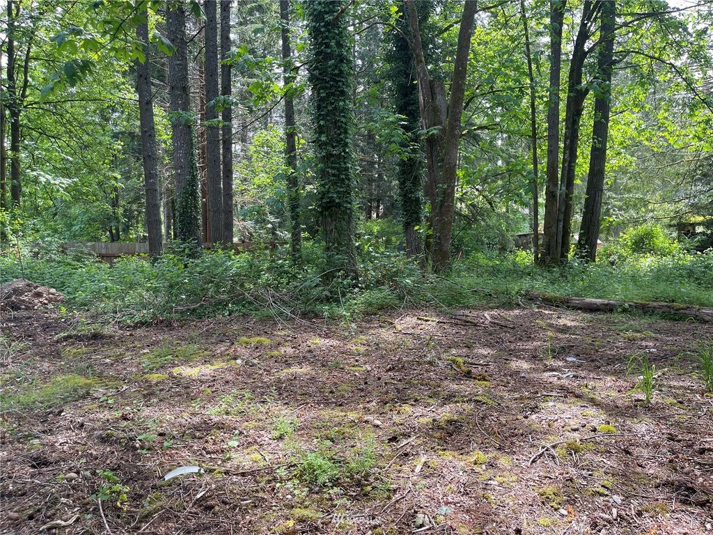 Photo of 229 XX SE 312th Street, Black Diamond, WA 98010 (MLS # 1944712)