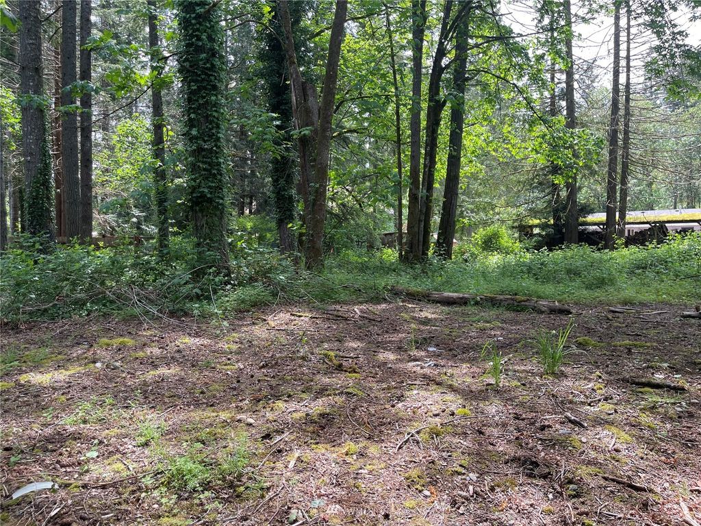 Photo of 229 XX SE 312th Street, Black Diamond, WA 98010 (MLS # 1944712)