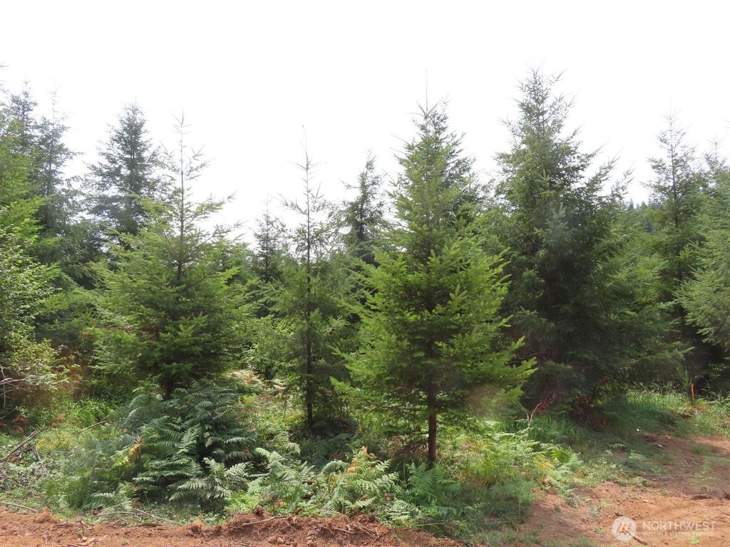 Photo of 0 Lot C Mill Creek Lane, Longview, WA 98632 (MLS # 2513899)