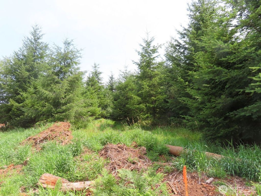 Photo of 0 Lot C Mill Creek Lane, Longview, WA 98632 (MLS # 2513899)