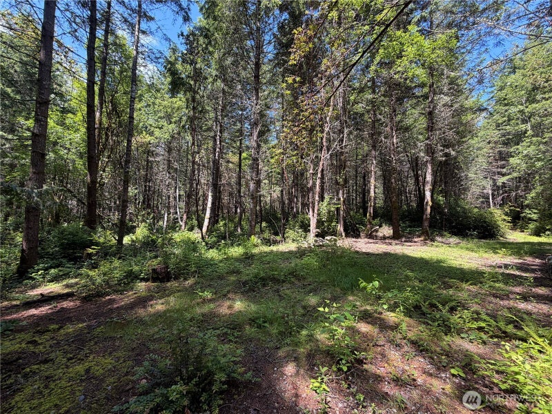 178 Geoduck Drive