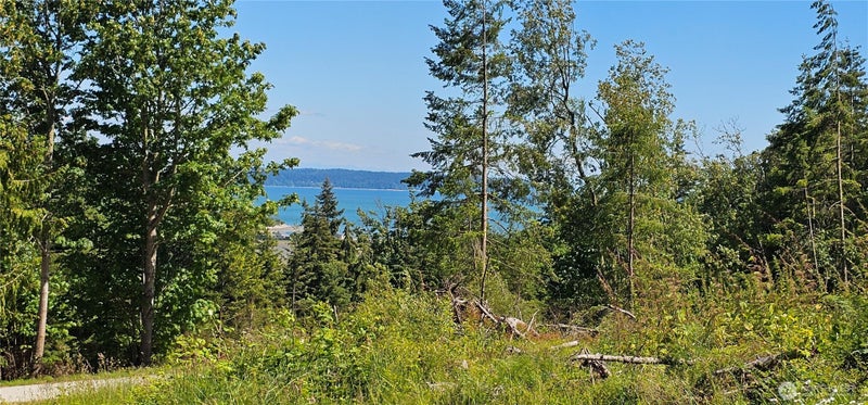 222 Triangle Cove Lane