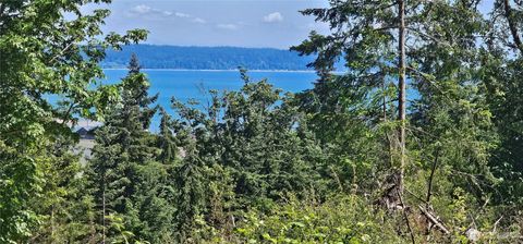 Photo of 222 Triangle Cove Lane, Camano Island, WA 98282 (MLS # 2529676)