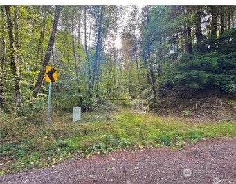 Photo of 1085 N lake cushman Road, Hoodsport, WA 98548 (MLS # 2580530)