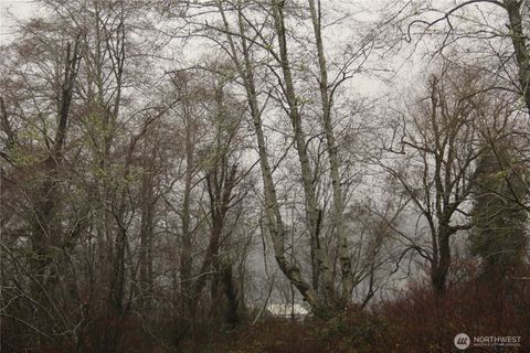 0 Godfrey Street Raymond WA 98586