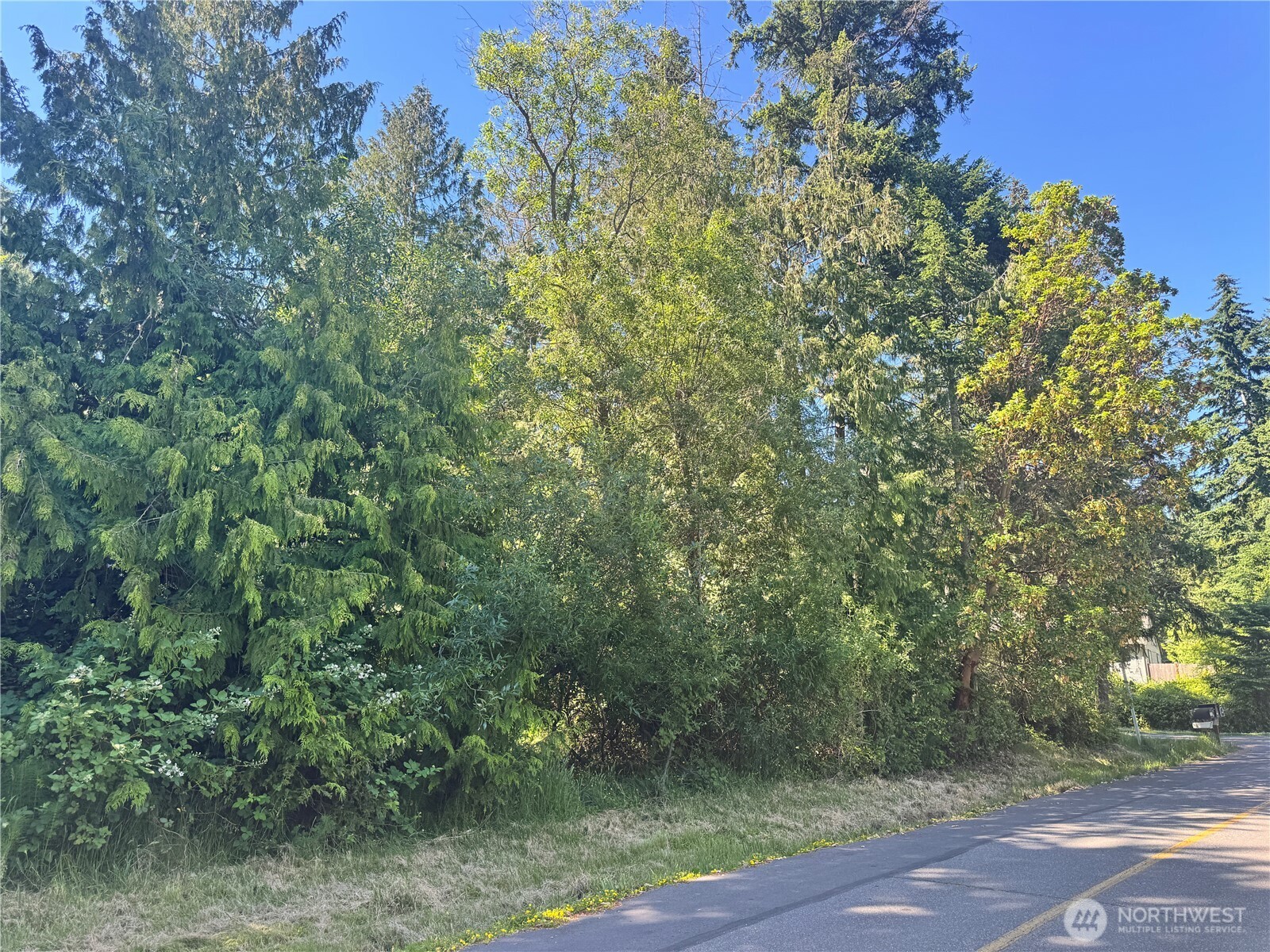 365 Snohomish Dr