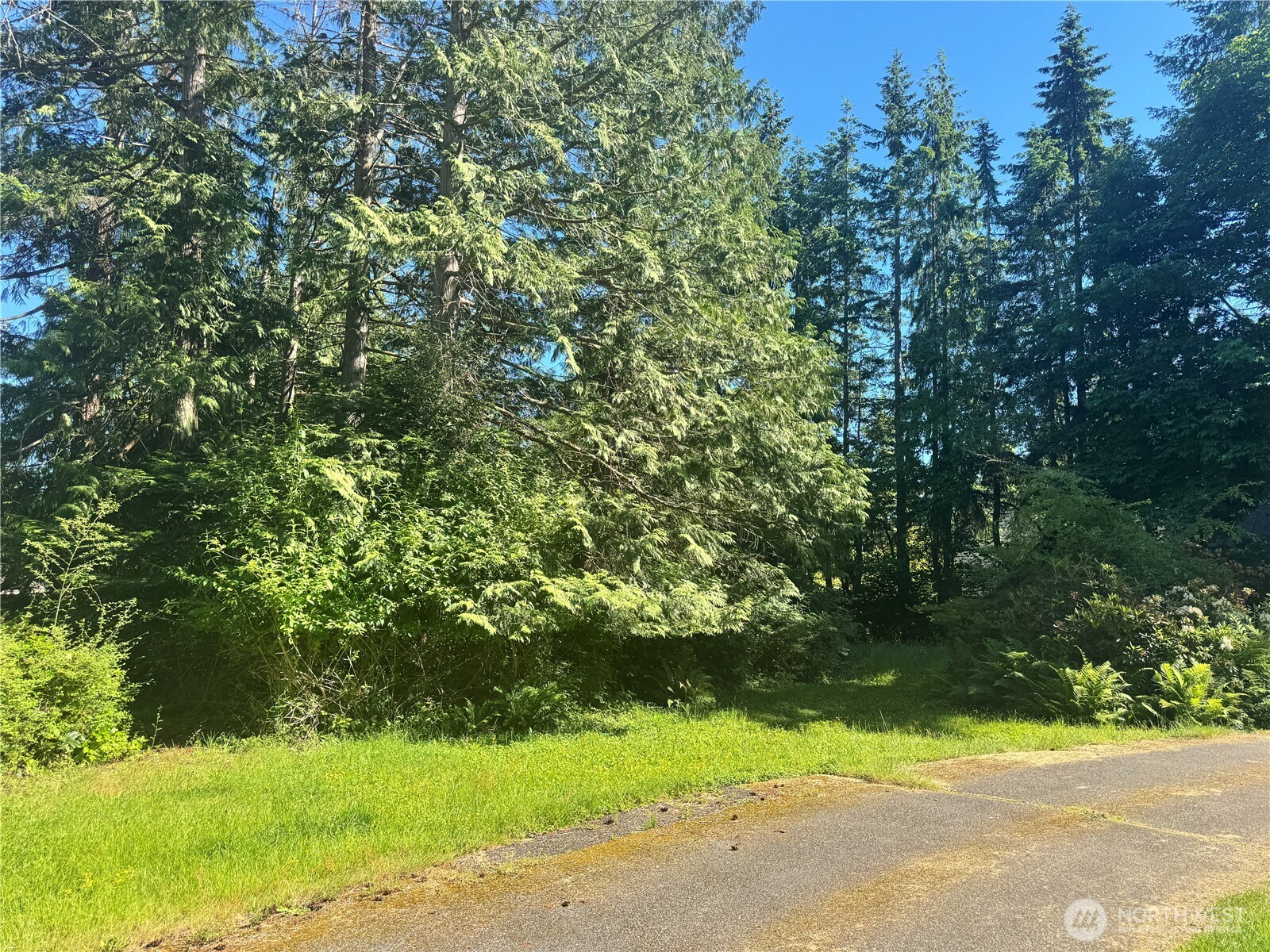 365 Snohomish Dr