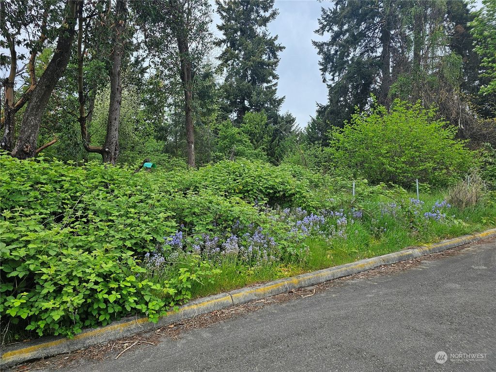 Photo of 0 SW 177th Street, Normandy Park, WA 98166 (MLS # 2232466)