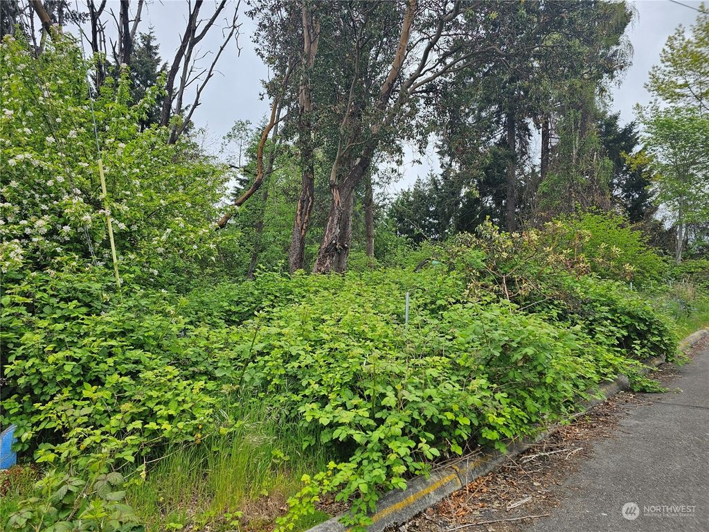Photo of 0 SW 177th Street, Normandy Park, WA 98166 (MLS # 2232466)