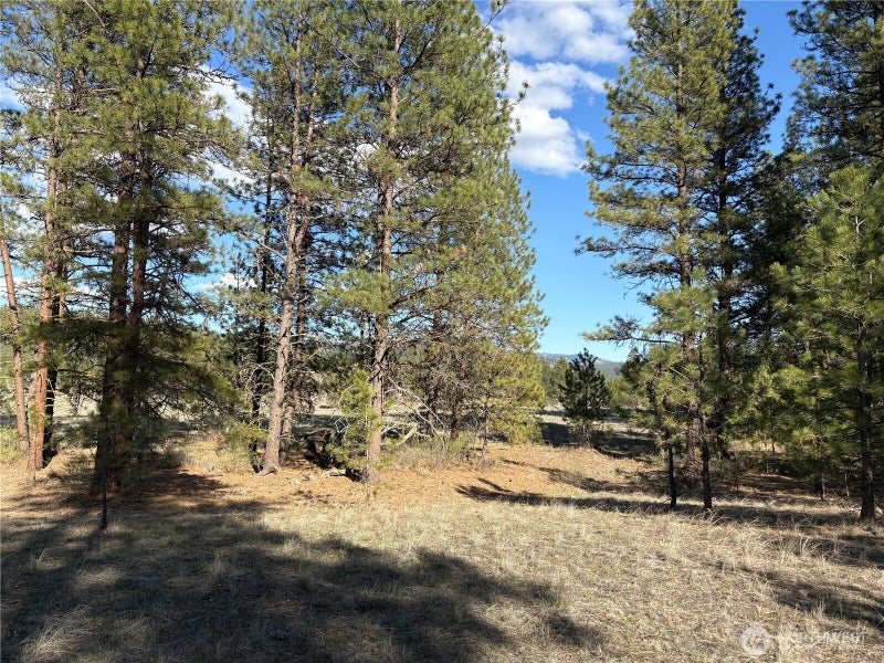 0 Tamarack Road