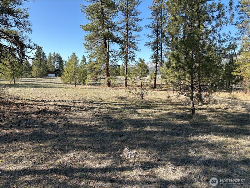 0 Tamarack Road