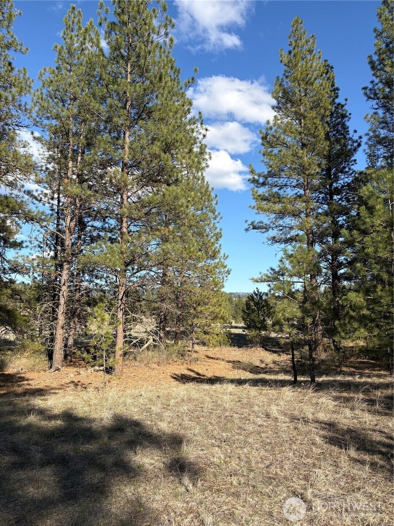 0 Tamarack Road