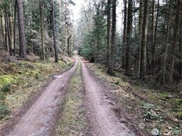 5 Fauntleroy Point Rd