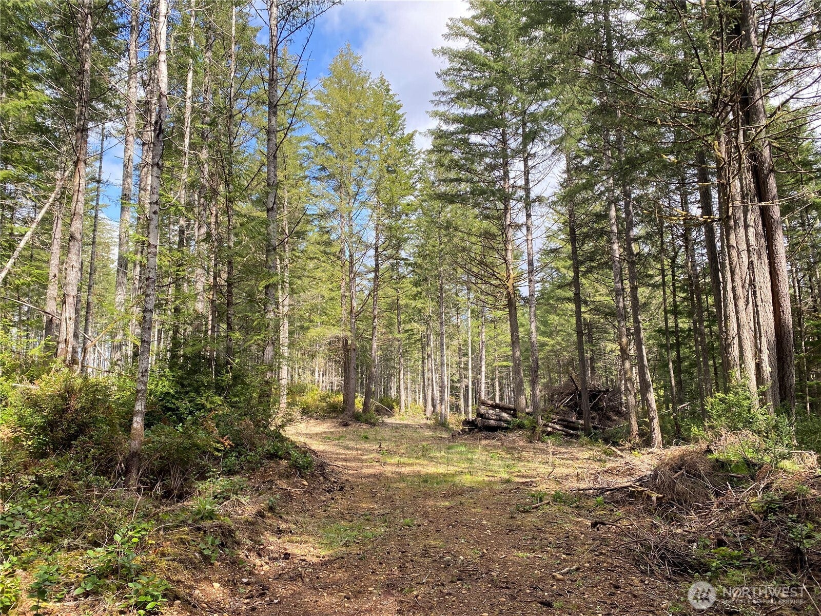 0 E Mason Lake Road