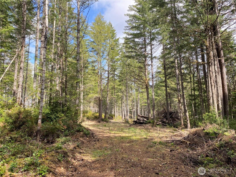 0 E Mason Lake Road