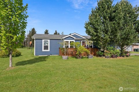 Photo of 19215 Old Ranch Lane SW, Rochester, WA 98579 (MLS # 2498624)