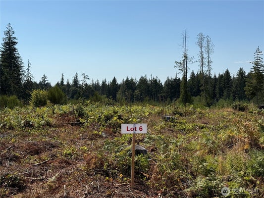 161 NE TRK LN, TAHUYA, WA 98588 - Image e13ee57fd59f5f2aa93a445e733a4dcf/1985981506