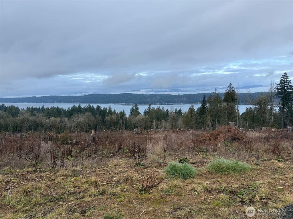 Photo of 6 Track RimStone Loop, Belfair, WA 98528 (MLS # 2480731)