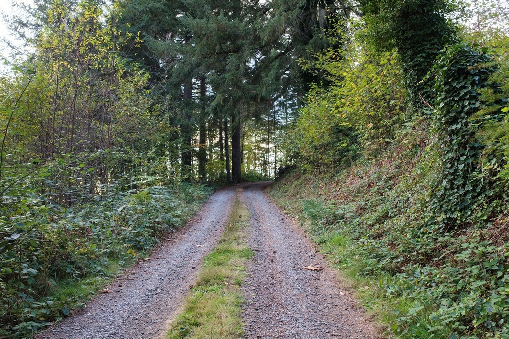 Photo of 17808 NE Cedar Creek Road, Amboy, WA 98601 (MLS # 2595247)