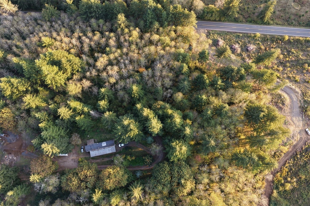 Photo of 17808 NE Cedar Creek Road, Amboy, WA 98601 (MLS # 2595247)