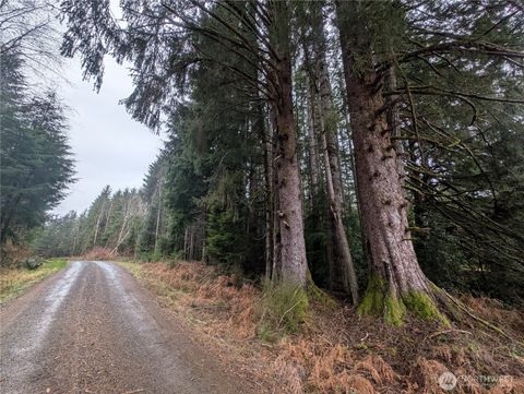 Photo of 9991 Quillayute Road, Forks, WA 98331 (MLS # 2483708)