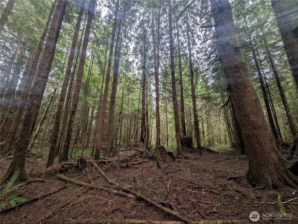 Photo of 9991 Quillayute Road, Forks, WA 98331 (MLS # 2483708)