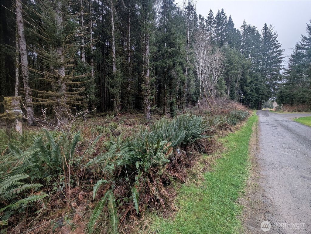 Photo of 9991 Quillayute Road, Forks, WA 98331 (MLS # 2483708)