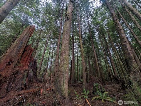 Photo of 9991 Quillayute Road, Forks, WA 98331 (MLS # 2483708)