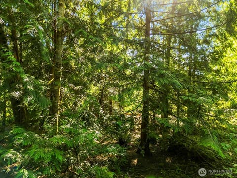 Photo of 0 Beaver Place, Sedro Woolley, WA 98284 (MLS # 2566104)