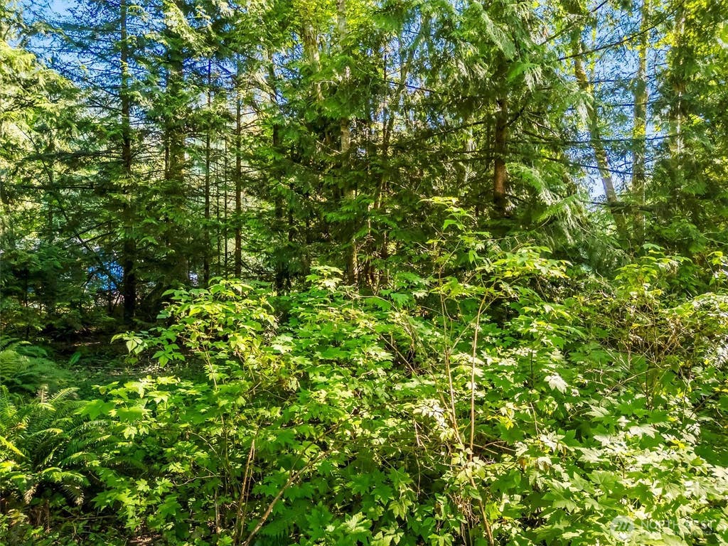 Photo of 0 Beaver Place, Sedro Woolley, WA 98284 (MLS # 2566104)