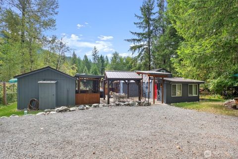 165 Nisqually Way Ashford WA 98304