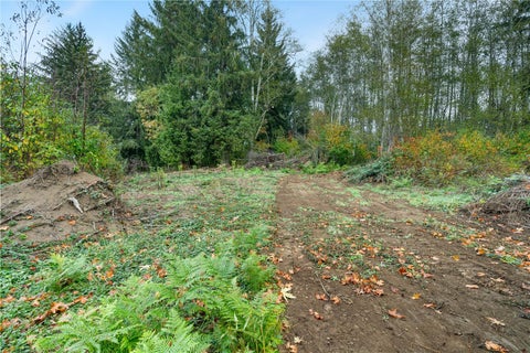 Photo of 0 X Wilkie Lane, Montesano, WA 98563 (MLS # 2595887)