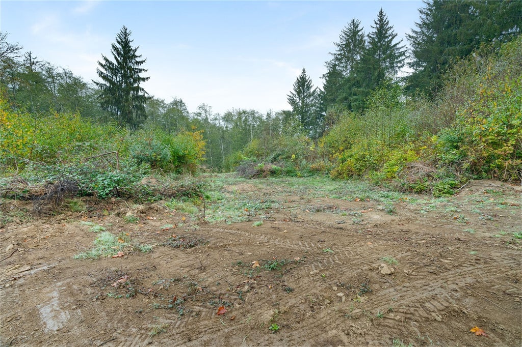 Photo of 0 X Wilkie Lane, Montesano, WA 98563 (MLS # 2595887)