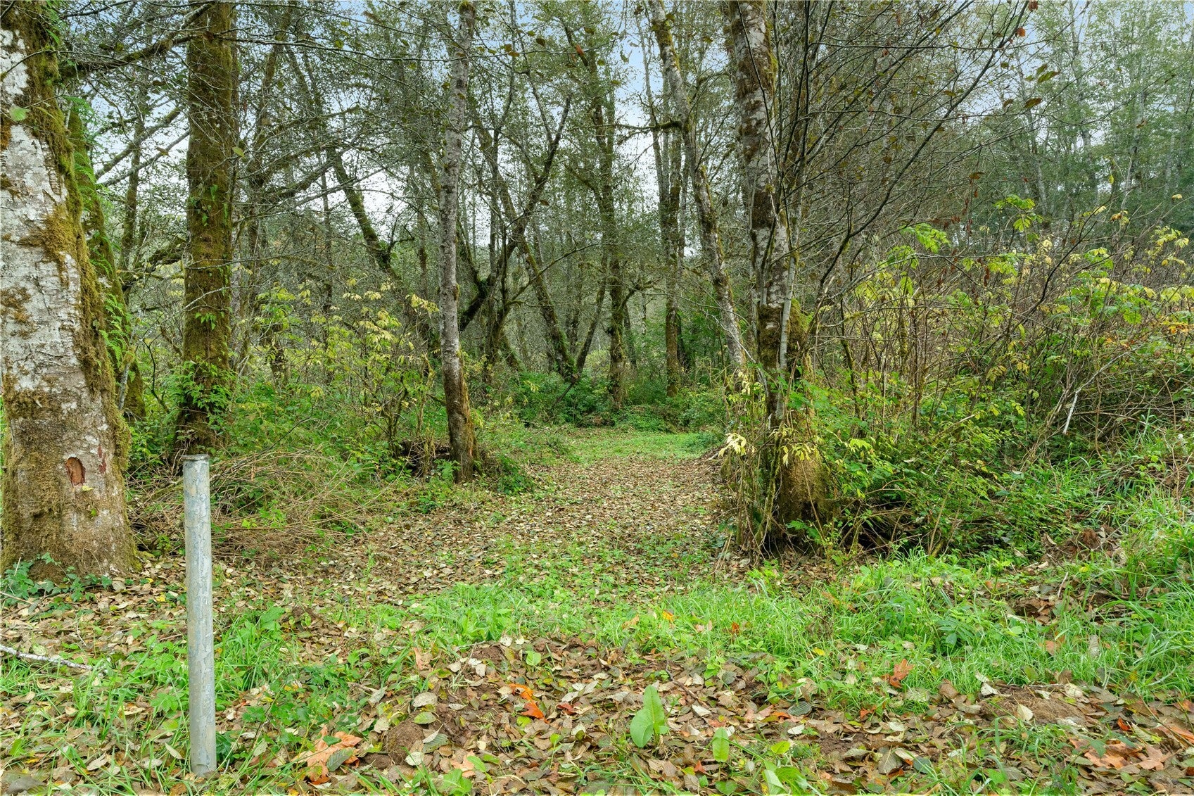 0 Wilkie Lane