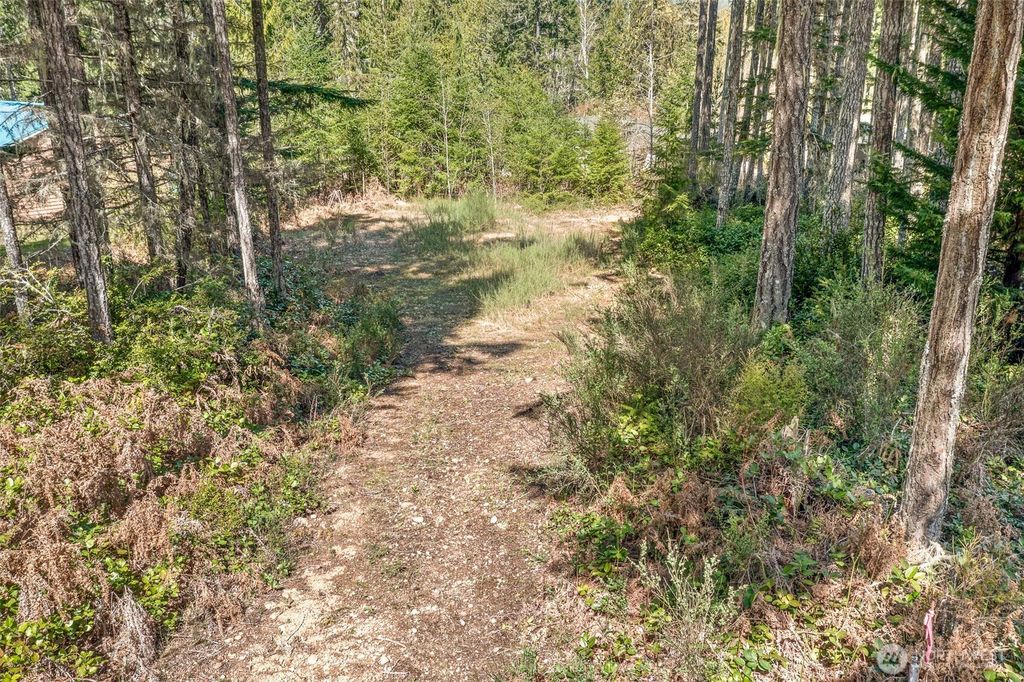 Photo of 60 N Beaver Place N, Hoodsport, WA 98548 (MLS # 2510672)
