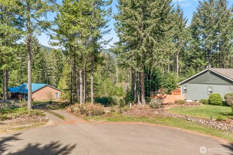 Photo of 60 N Beaver Place N, Hoodsport, WA 98548 (MLS # 2510672)