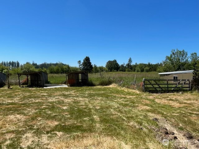 320 Pine Tree Road