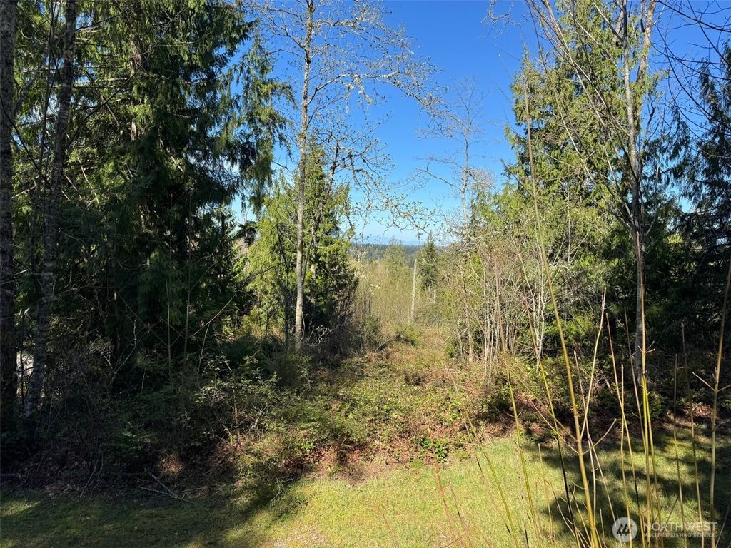 Photo of 4 XXX 287th Avenue SE, Fall City, WA 98024 (MLS # 2503300)