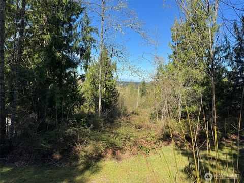 Photo of 4 XXX 287th Avenue SE, Fall City, WA 98024 (MLS # 2503300)