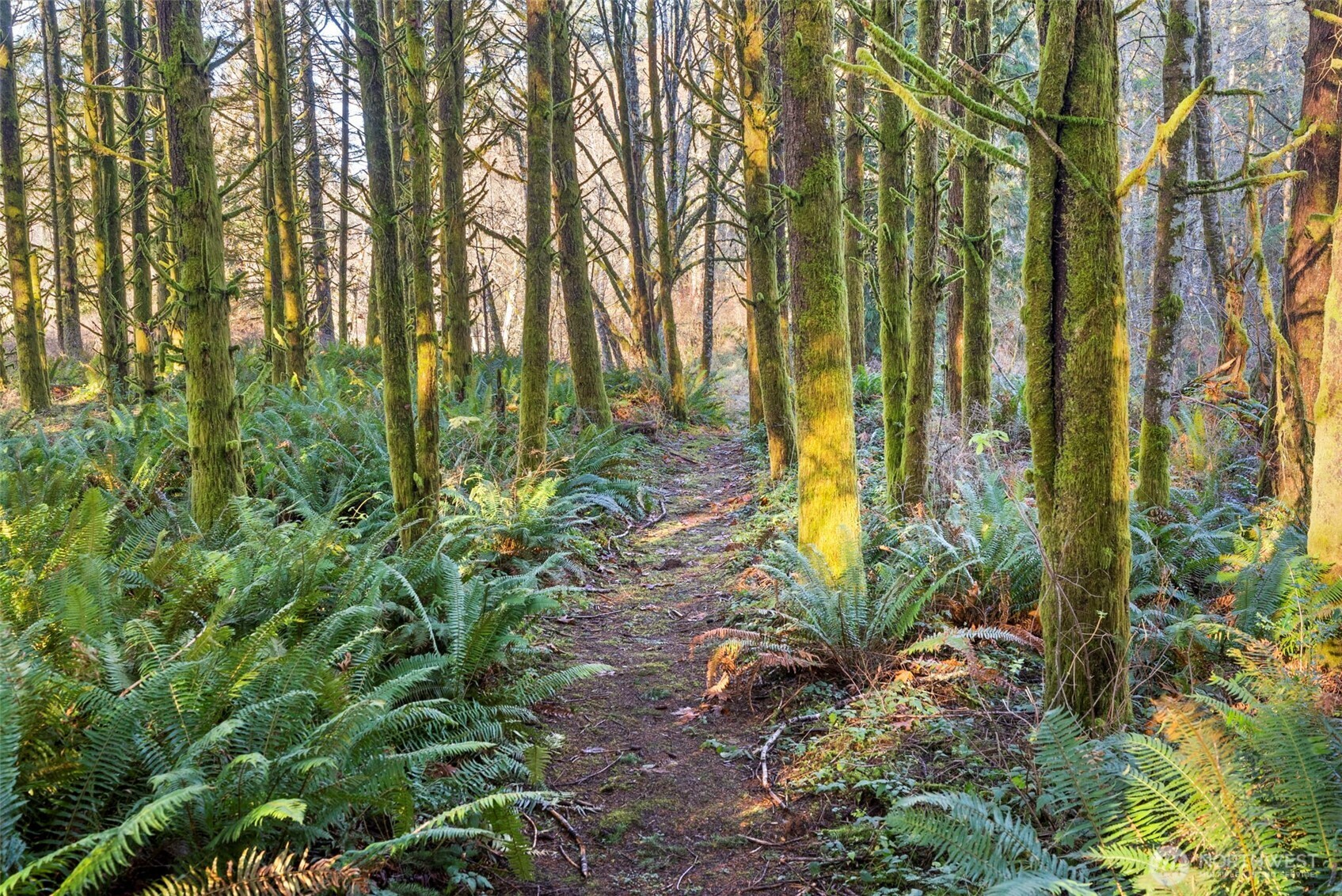 1895 North Fork Road