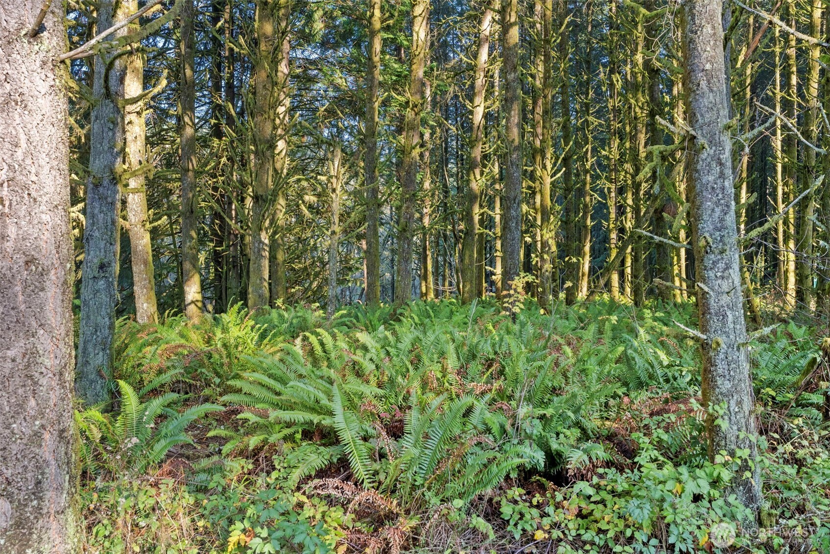 1895 North Fork Road