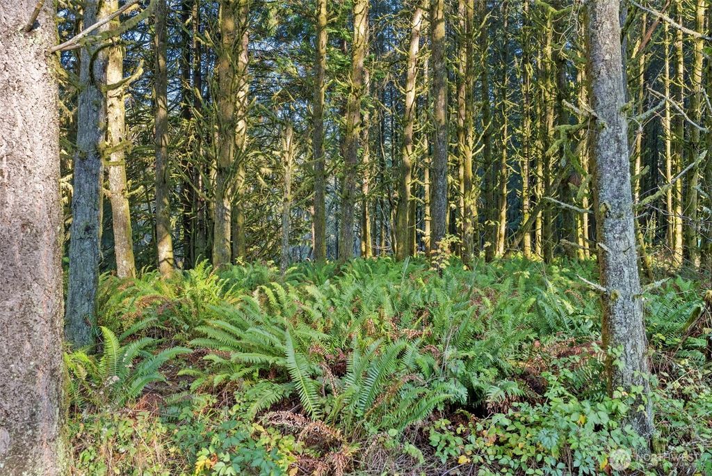 Photo of 1895 North Fork Road, Chehalis, WA 98532 (MLS # 2472461)