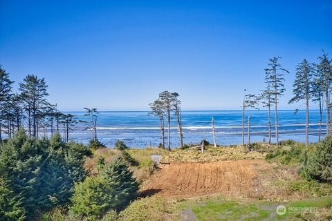 58 Chauncey Lane Pacific Beach WA 98571