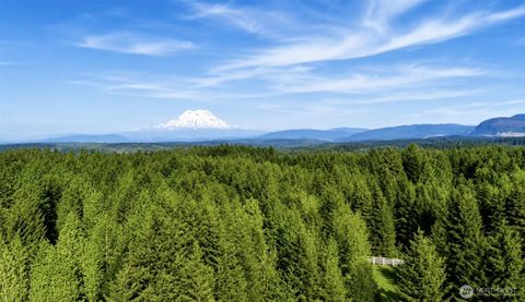 Photo of 15312 Sunnyside Lane SE, Yelm, WA 98597 (MLS # 2519314)