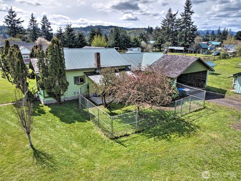 Photo of 147 Stoddard Road, Doty, WA 98539 (MLS # 2516607)