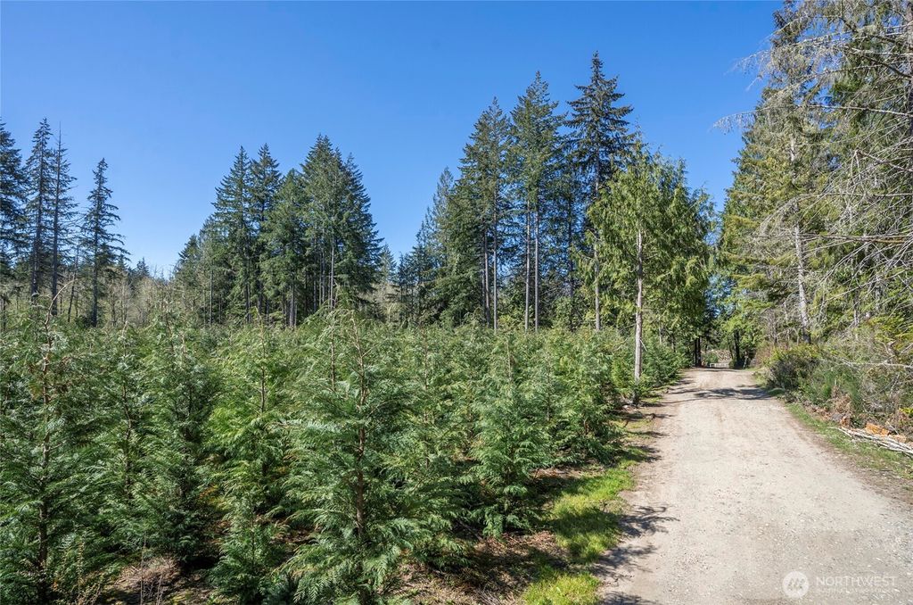 Photo of 103 Andrejs Road, Shelton, WA 98584 (MLS # 2506757)